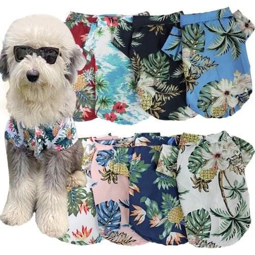 Dog clothes Teddy Bichon Pomeranian Jarre Aero bull cat shirt summer thin small dog pet Spring and Autumn Cat Clothes