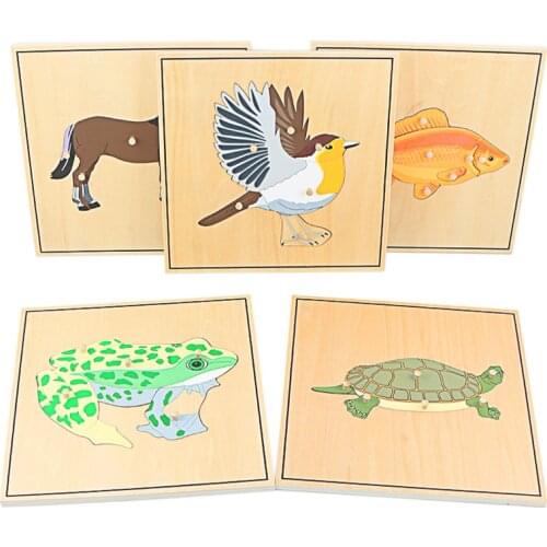 Children Educational Toys Montessori Materials Biology Wooden Skeleton Puzzle Frog Horse Tortiose Fish Bird Animal Toys for Boy