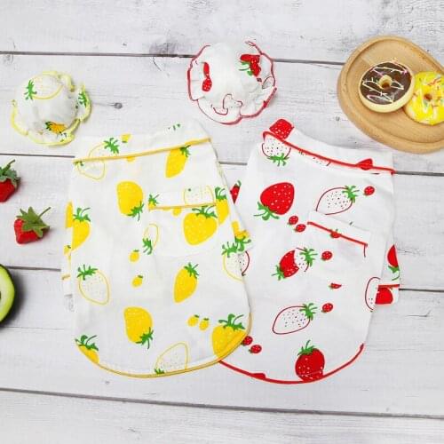 Autumn Winter Dog Clothes Warm Thick Pet Dog Shirt Strawberry Pajamas with Hood Clothes for Pets Winter Pet Coat Puppy Clothes