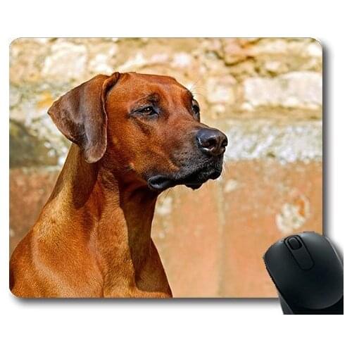 Gaming puppy dog mouse pad,Rhodesian Ridgeback Dog Guard Dog Purebred Dog,dogs mouse mat
