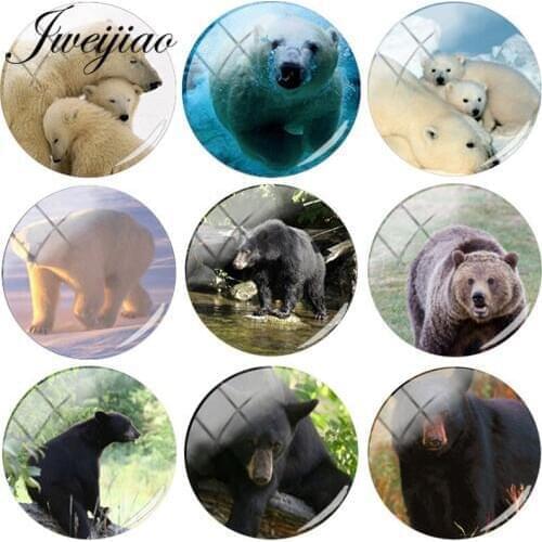 JWEIJIAO Animal White/Black/Brown Bear DIY Glass Cabochon Dome With Photo Charms For Necklaces Brooches Keychain Accessories