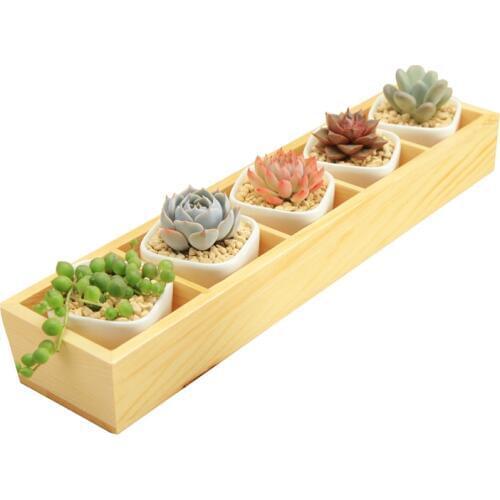 Set of Modern Decorative Small White Square Ceramic Succulent Plant Pot 5 Flower Planters with 1 Wooden Tray Box Home Decor