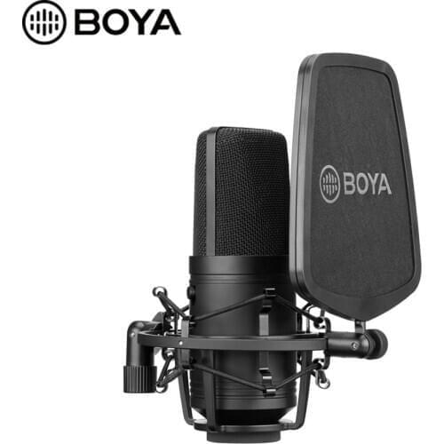 BOYA BY-M800 Large Diaphragm Microphone Low-cut Filter Cardioid Condenser Mic for Studio Broadcast Live Vlog Video Recording Mic