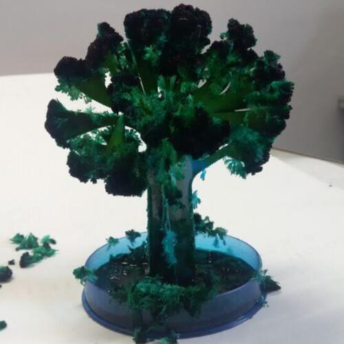 2019 135mm Japan Green Big Magic Paper Sakura Tree Magical Growing Trees Kit Desktop Cherry Blossom Educational Novelty Kids Toy