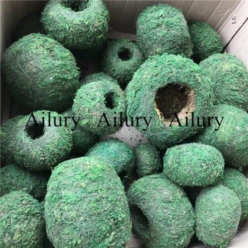 Ailury Interior Decor Items