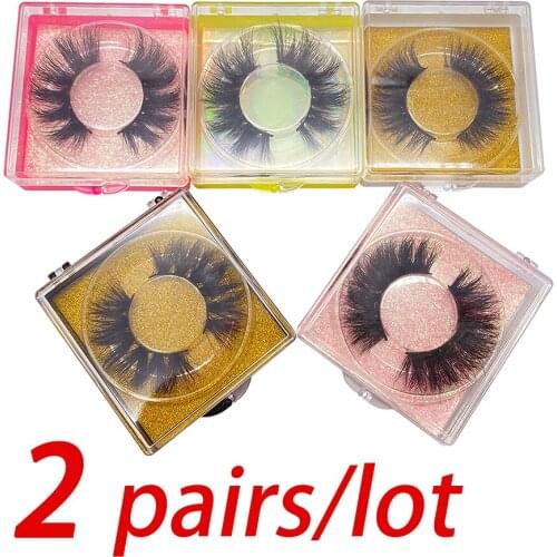 2 Pairs/Lot 3D Mink False Eyelashes Facial Makeup Tools Natural Fluffy Extension Beauty Gift Party D Model D808
