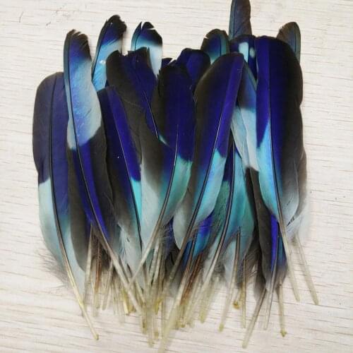 Wholesale! Rare 10 pcs Pretty Natural Pheasant Feathers 12-15 cm/5-6 inches Diy jewelry wedding decorative accessories