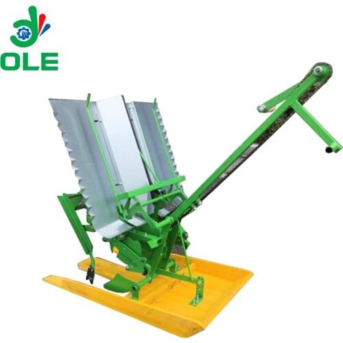 Hand Pushing 2 Rows Rice Transplanting Machine Manual Rice Planter Machine