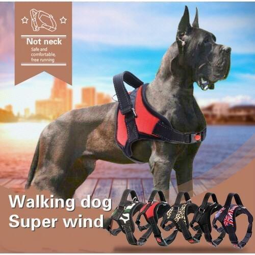 Pet supplies in large dog collar traction rope chest strap
