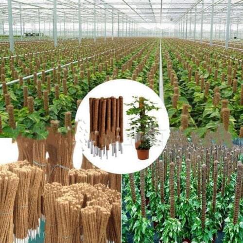 50%HOTPlant Support Pole Stackable Durable Wooden Coir Moss Totem Pole for Indoor Plant