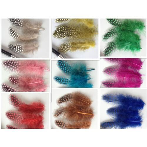 Wholesale 20pcs high quality beatiful natural guinea fowl feather 5-8cm / 2-3inch Decorative diy