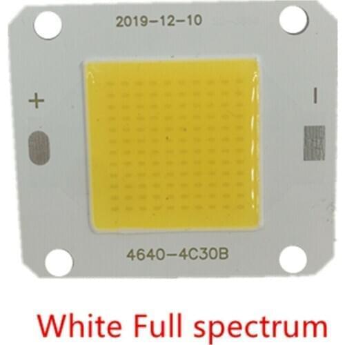 DC12V 50W COB LED white Full spectrum 380-780nm High Powe Grow Light F hydroponics