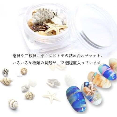 1Jar Nail Art Shell Trumpet Conch Starfish Shell Small Shell set BJ57