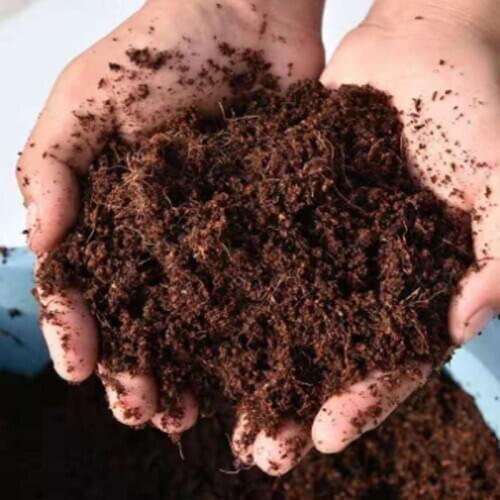 New Coconut Brick Nutrient Soil Natural Plant Coconut Fiber Organic Nutrient Soil Coarse Grain Coconut Brick Garden Vegetable