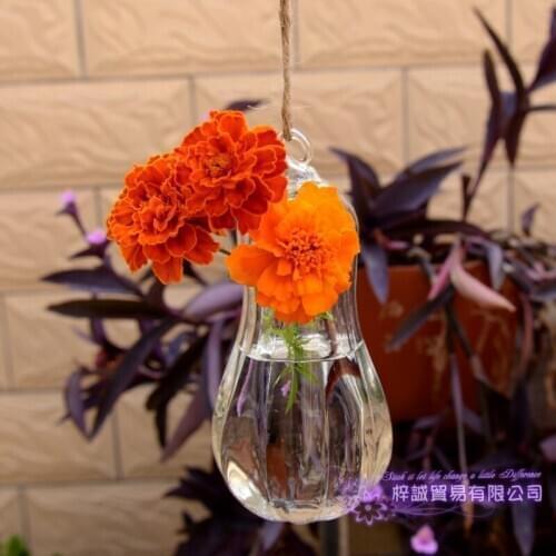 Terrarium Glass Flower Vase Pumpkin Sphere 16*8.5 cm Hanging Vases Home Wedding Decoration Transparent