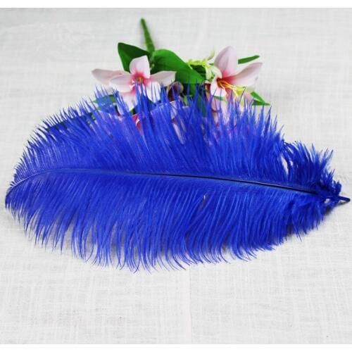 Wholesale free shipping high quality 20pcs natural blue ostrich feather 20-22inch / 50-55cm Variety of decorative