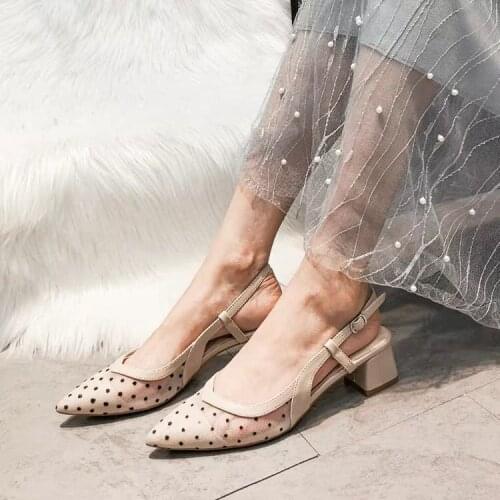 Polka dot mesh single shoes womens thick heel new style Baotou spring mid-heel shallow mouth pointed back high heel sandals