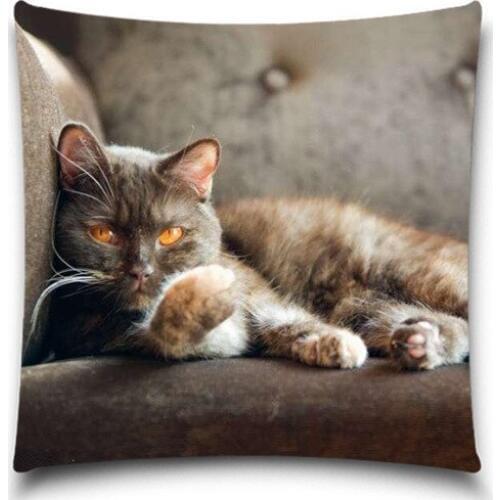 The cat lying on the sofa Cushion Cover Polyester Cotton Chair Seat Waist Square Pillow Case