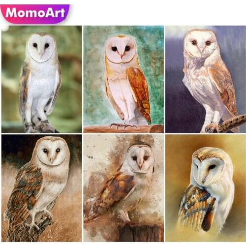 MomoArt Diamond Embroidery 5D Owl DIY Full Drill Square Diamond Painting Animal Art Cross Stitch Kits Mosaic Decor For Home