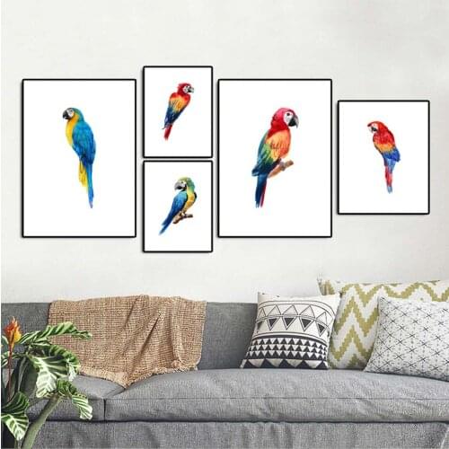 Home Decoration Print Canvas Nordic Picture Wall Art Paintings Oil Unframed Drawings Cockatoo frog Parrot