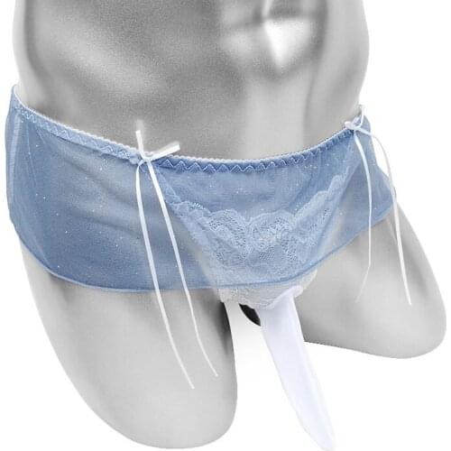 Skirted Sissy Panties With Penis Sheath Sheer Lace Sexy Lingerie For Mens Underwear Thong Briefs Low Rise Bikini G String