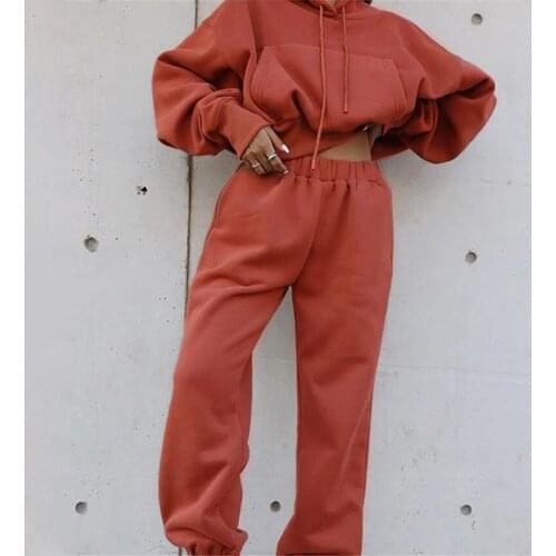 2 Piece Set Fleece Tracksuit Women Sets Winter Hooded Long Sleeve Pocket Female Short Hoodie Suit Autumn Sport Pants Lady Suits