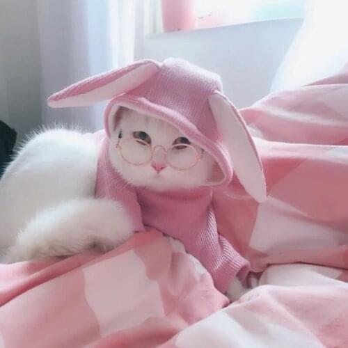 Cat glasses small glasses dog sunglasses wholesale small pet accessories glasses personality jewelry for taking photos