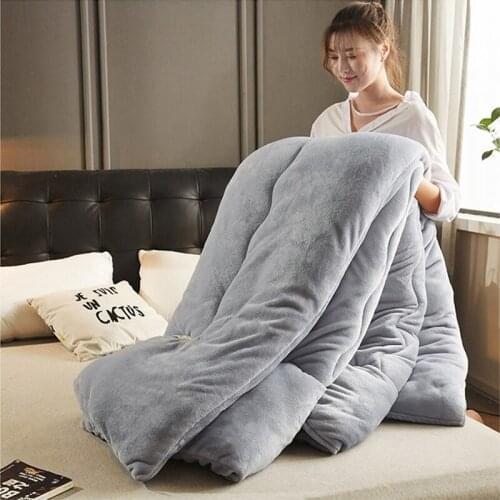 Super Warm four-season quilt winter 5kg blanket double-sided Lamb wool quilt thicken warm spring autumn plush comforter core
