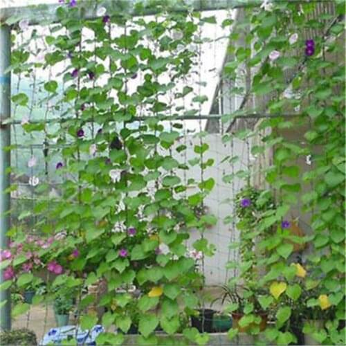 1pc New Garden Green Nylon Trellis Netting Support 1.8*1.8m Climbing Bean Plant Nets Grow Fence