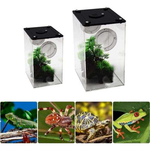 Reptile Breeding Box Acrylic Spider Lizard Scorpion Climbing Pet Breeding Box Transparent Insect Feeding Breathable Terrarium
