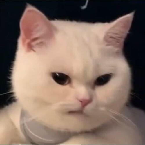 Asdasdasdaaasdasdasdaaasdasdasdaaasdasdasdaa