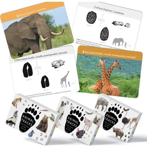 Montessori Language Materials Animal Tracks Match Card Pocket Memory Matching Game Educational Toys For Children 3 Year E2944H
