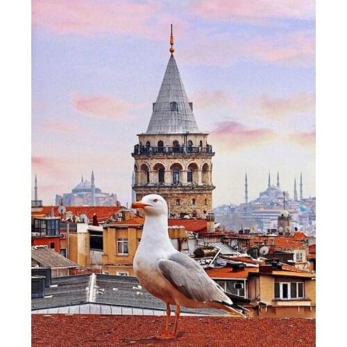 Dove Painting With By Numbers Animal DIY Kit On Canvas For Drawing Coloring Handmade With Frame Picture By Number Home Decor Art