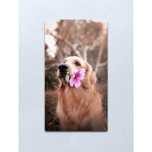 Cool dog Metal Print Tin Sign Vintage Metal Wall Sign Plaque Retro Garage Shed Car