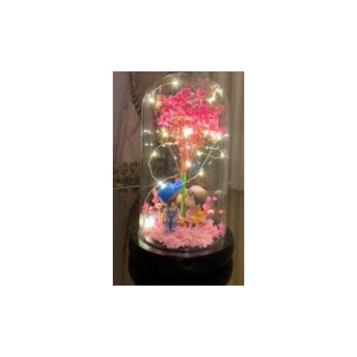 Colorful Luminous Heart Bell Jar you Dear Within Biblosu Mh25