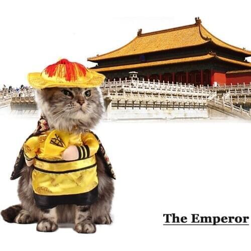 Pet clothec Funny Chinese Princess Cosplay Clothes For Cats Halloween Costume For Dogs Suit Cat Clothing Dog Outfit Pet Apparel