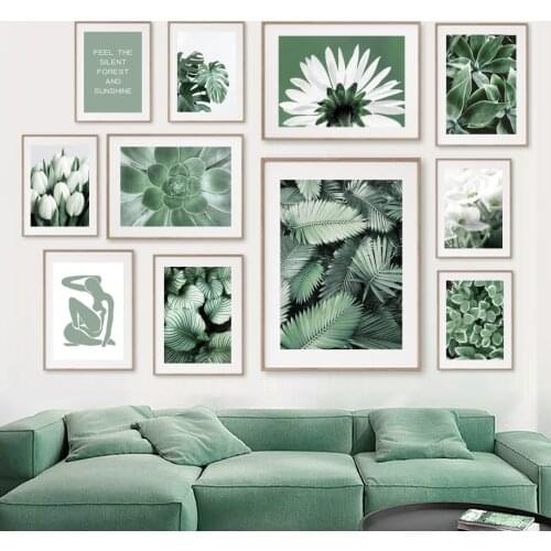 Plants Flowers Monstera Tulip Lily Aloe Wall Art Canvas Painting Posters And Prints Living Room Decor Nordic Style Decoration