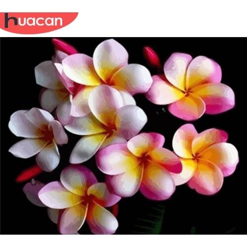 HUACAN DIY Pictures By Number Flowers Kits Painting By Numbers Drawing On Canvas Hand Painted Picture Art Gift Home Decor