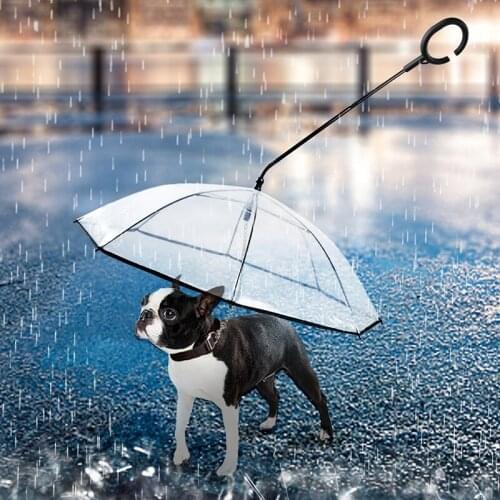 Telescopic Handle Transparent Pet Umbrella With Dog Leash for Rain Walking Umbrellas Waterproof Cat Supplies Pet Products new