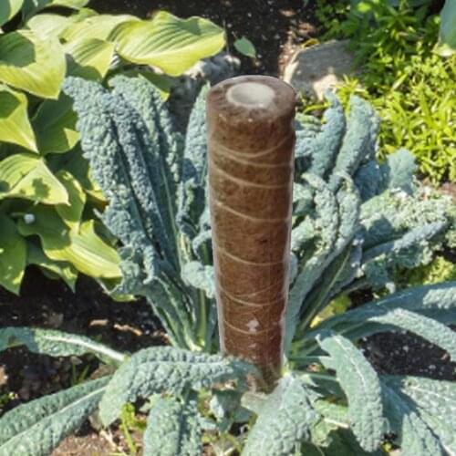 Plant Climbing Coir Totem Pole Safe Gardening Coconut Palm Stick For Climbing Plants Vines And Creepers
