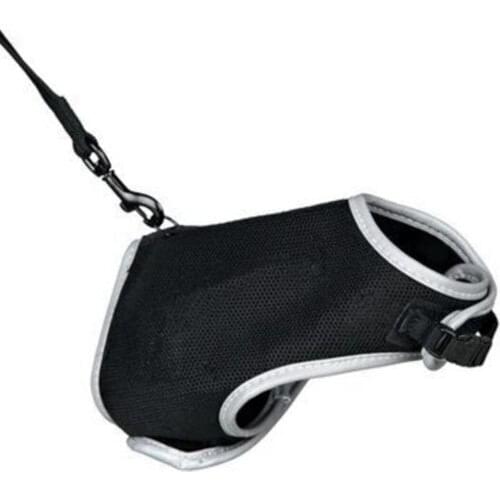 Nobrand Products For Cats