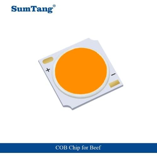 5PCS/Lot High Power COB Led Light 30W 900mA for Vegetable Fruit Beef Bread Gold Special Application