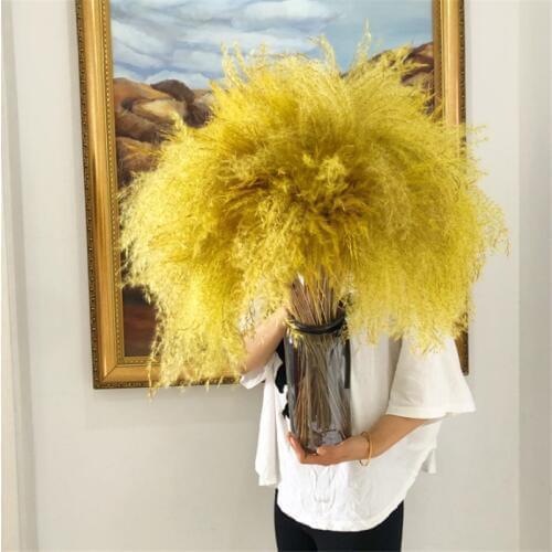 Wedding flower yellow pampas grass 20pcs natural dry flower bunch windowcase flowers