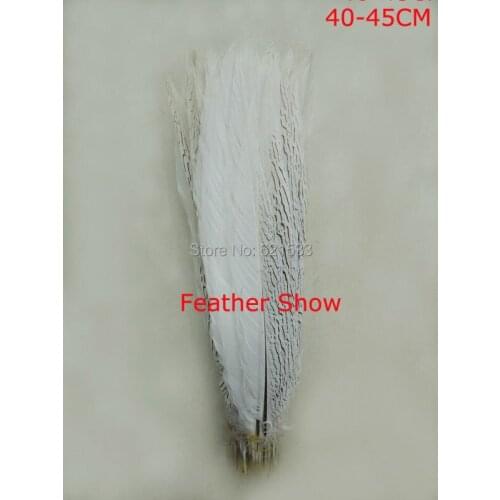 50Pcs/LOT!Natural Silver Pheasant tail feathers 16-18inches 40-45cm Silver Pheasant Tails,loose feathers