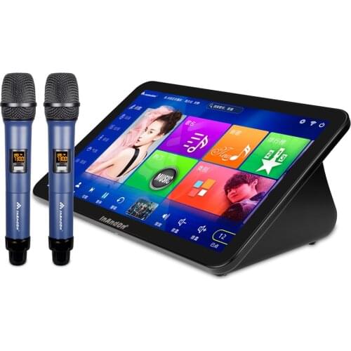 InAndOn 15.6 inch 2TB All in one Karaoke Machine KTV Player With Wireless Microphone