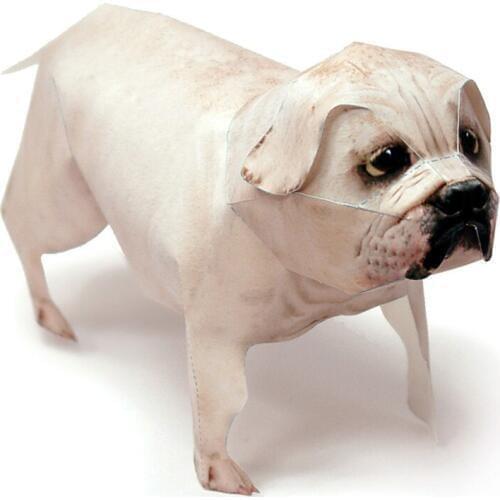 Olde English Bulldogge Dog Pet Paper Model Realistic Animal Mini Cute 3D Papercraft DIY Kids Adult Handmade Craft Toys WE-040