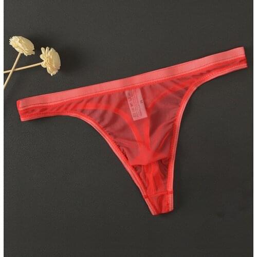 Mens Sexy Breathable Underwear T-Back G-String Briefs See Through Lingerie Mesh Soft Quick Dry M~2XL
