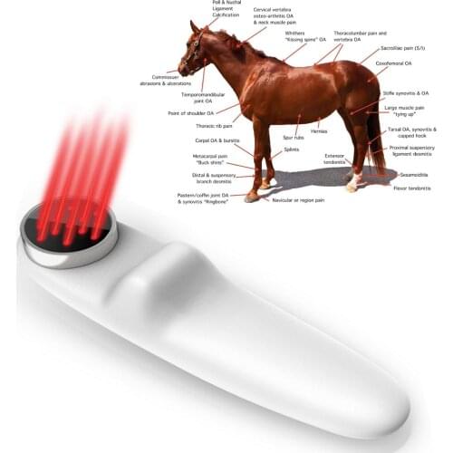 Cold Laser Red Light Therapy Device LLLT for Shoulder Joint Muscle Pain Reliever Safe for Pet,Dog,Cat,Horse