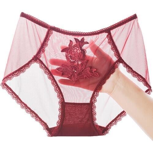 New Sexy Sheer Mesh Embroidery Panties Womens Underwear Transparent Sheer Mesh Briefs Knickers Soft Sheer Brief Womens Panty