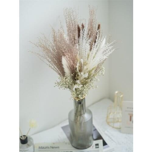 Pampas Grass Dried Decorative Flowers Natural Plants Christmas Living Room Wedding Nordic Home Decoration Accessories Handicraft